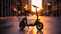 VelociTech Electric Scooter with Pet Basket - lifestyle view 1